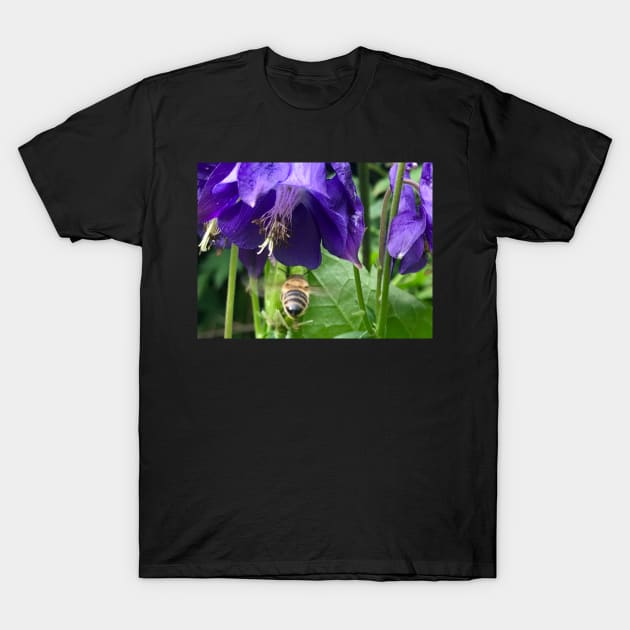 Columbine with flying Honey Bee T-Shirt by ephotocard